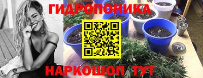 скорость Обнинск