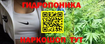 круглые Обь