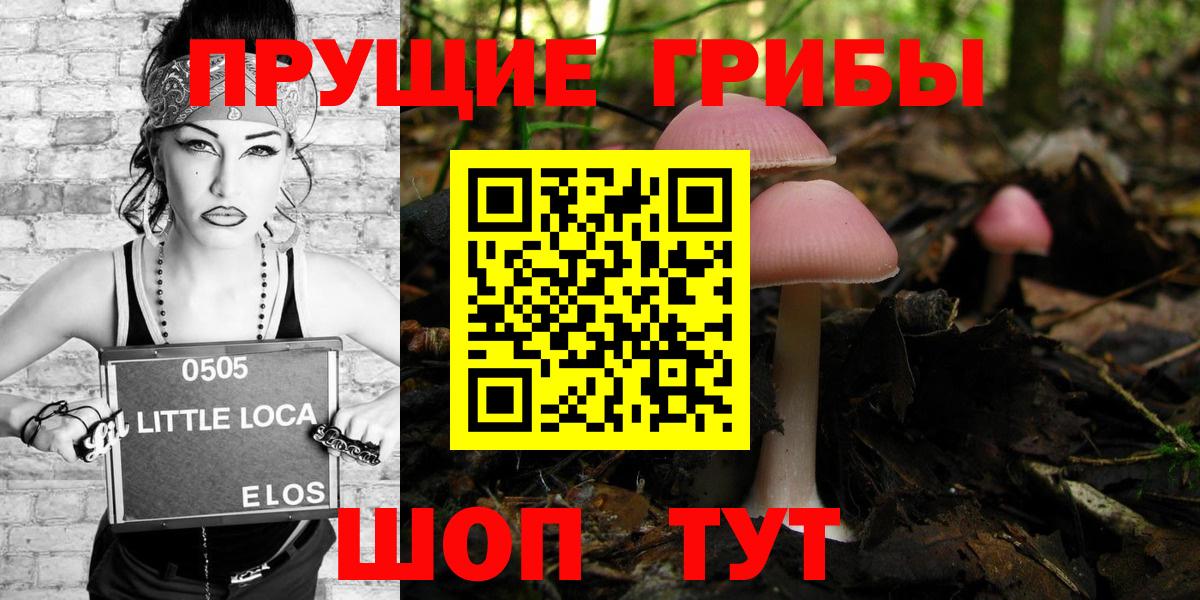 Псилоцибиновые грибы мицелий  Вход с VPN  Элиста  Галлюциногенные грибы GOLDEN TEACHER 